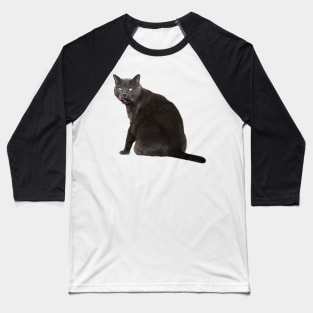 Russian Blue Cat Baseball T-Shirt